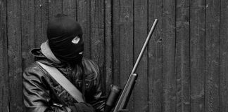 Jaki celownik do wiatrówki?