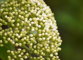 Czym się różni tuleja mokra od suchej?