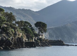 Ile kosztuje Szytka?