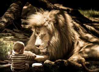 Co trzyma bęben w pralce?