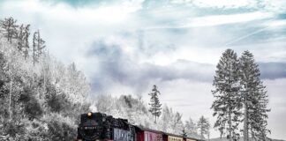 Na co najlepiej bierze pstrąg tęczowy?