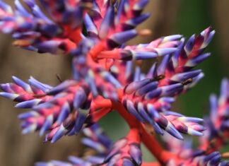 Jak wygląda zrost kości na RTG?