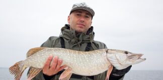 Jaka najlepsza przynęta na sandacza?