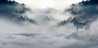 Jaki szalik na zimę?