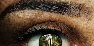 Czy można mieć w domu łuski?