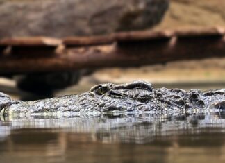 Na czym polega zasada bezwładności?