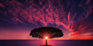 Czy w oceanie są fale?