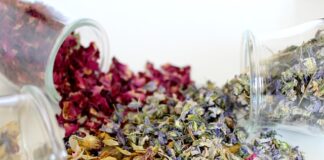 Czy martwy ciąg obciąża kolana?