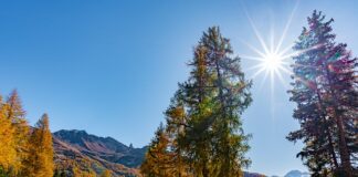 Ile podnosić kg na masę?