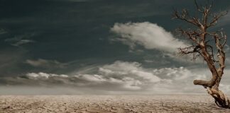 Co daje martwy ciąg efekty?