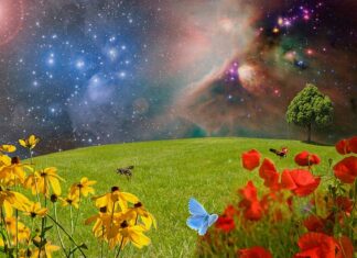 Co po zdjęciu ortezy?