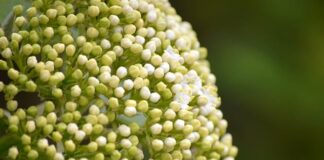 Gdzie stosowane są tuleje mokre?