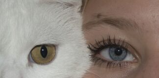 Co to znaczy membrana 10000?