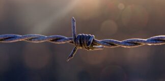 Jak nazywa się osoba która uprawia szermierkę?