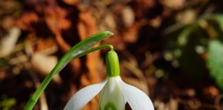 Co to znaczy Radial tubeless?