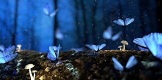 Czym wypełnić duże ubytki w drewnie?