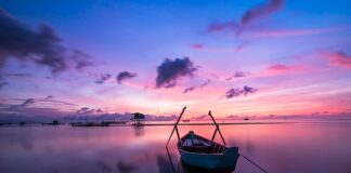 Jaki kolor na pstrąga?