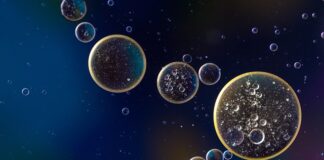 Jaka gęstość oleju do amortyzatorów?