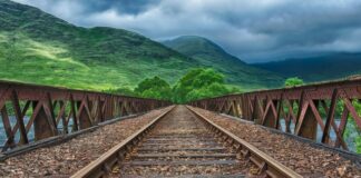 Co to jest szyna RIS?