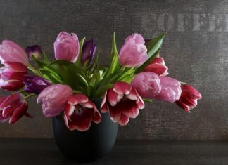 Jak ścisnąć sprężynę?