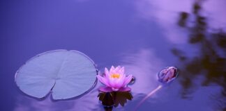 Jak odciążyć staw skokowy?