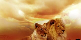 Gdzie są duże fale w Europie?