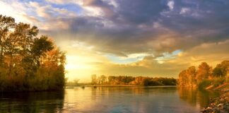 Jak zapleść koło rowerowe?