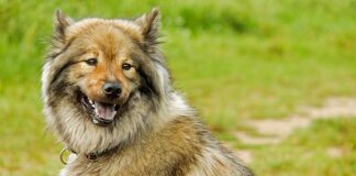 Jakie są długości szprych?