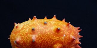 Czy ogórek ma dużo żelaza?