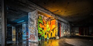 Jak długo odpoczywa gołąb pocztowy?