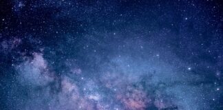 Co oznacza niebieska obrączką u gołębia?