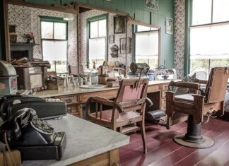 Dlaczego nie powinno się golić kota?