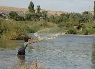 W czym zatopić siatkę?