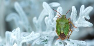 Jak usunąć smród z mieszkania?