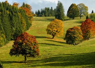 Co zrobić z Odbarwionym ubraniem?