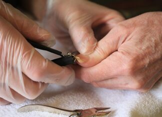 Gdzie obciąć kotu pazury?