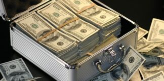 Ile zarabia się w papugarni?