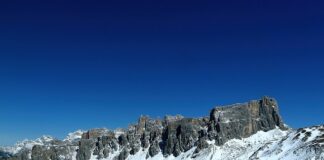 Czy nawóz do pomidorów nadaje się do ogórków?