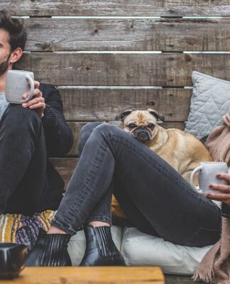 Czy pies musi mieć obroże?