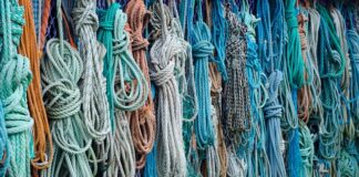 Jak unieruchomić kota do czesania?