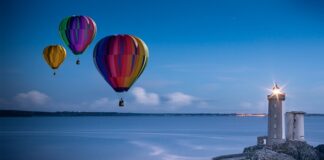 Kiedy zaczynają się loty gołębi pocztowych?