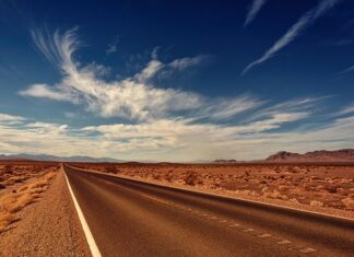 Czy Vanish usuwa tłuste plamy?