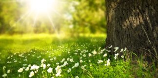 Co dodać do prania żeby było białe?