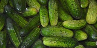 Od czego żółkną liście ogórków?