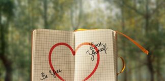 Co to jest Samp w akwarium?