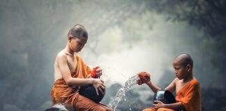 Co kupić do czyszczenia ekspresu?